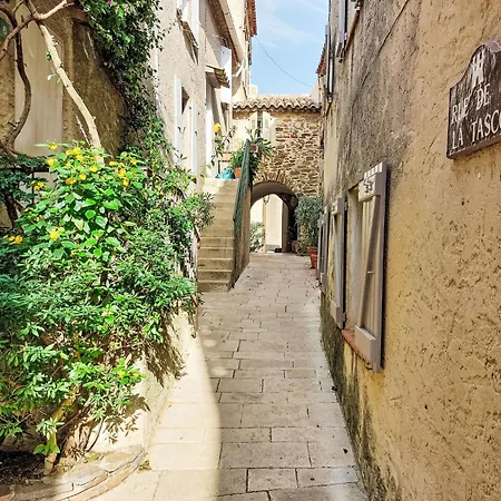 Caesar Domus-2 By Interhome Apartment Saint-Tropez